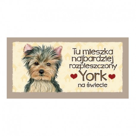 Magnes z Twoim Pupilem "York"