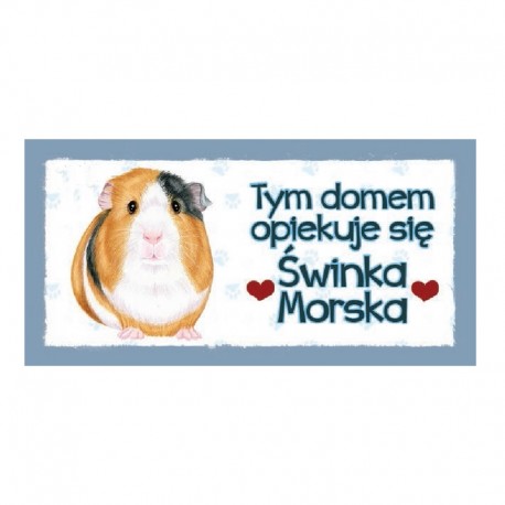 Magnes z Twoim Pupilem "Świnka Morska"