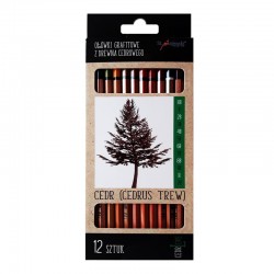 St.Majewski "Cedr 9B-2H" zestaw ołówków