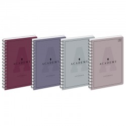 Kołozeszyt B5/100k Academy Interdruk