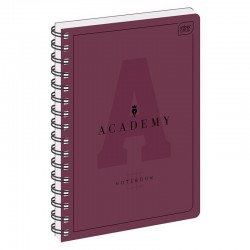 Kołozeszyt A5/100k Academy Interdruk