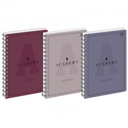 Kołozeszyt A5/100k Academy Interdruk