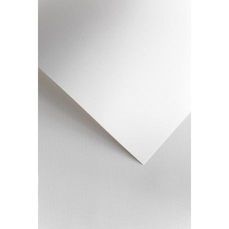 Papier ozdobny A4/120g "Płótno biały" Galeria Papieru 206101