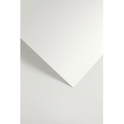 Karton ozdobny standard A4/200g "Sawanna biały" Galeria Papieru 204801