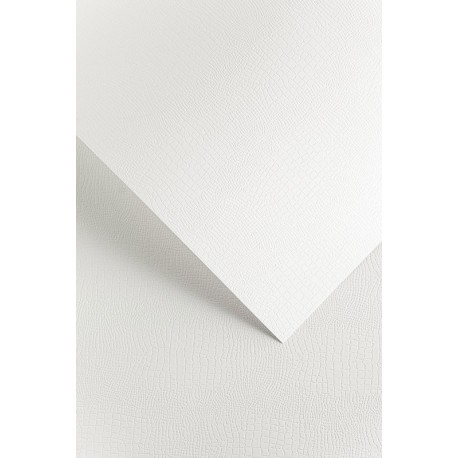 Karton ozdobny standard A4/220g "Borneo biały" Galeria Papieru 200201