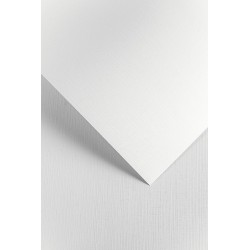 Karton ozdobny standard A4/230g "Kratka biały" Galeria Papieru 201601