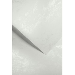 Karton ozdobny A4/220g "Marmur srebrny" Galeria Papieru 205307