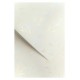 Karton ozdobny premium A4/230g "Wiatr biały" Galeria Papieru 202401