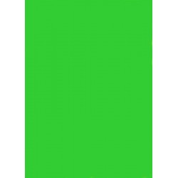 Papier ksero zielony fluo A4/100k Kreska 