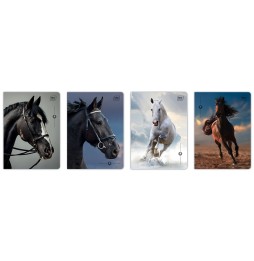 Zeszyt A5 32k w kratkę Interdruk Wild Horses