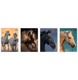 Zeszyt A5 16k w kratkę Interdruk Wild Horses