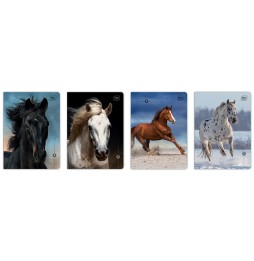 Interdruk zeszyt linia podwójna kolorowa Wild Horses