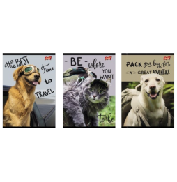 Zeszyt A5 linia Unipap Exclusive Traveler